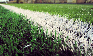 A close-up view of a soccer field showcasing vibrant green grass and clearly marked white lines.